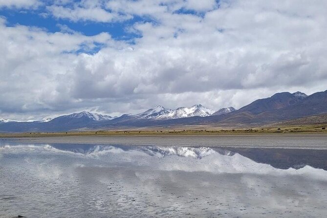 Salar de Salinas Adventure from Arequipa from 6:00am to 1:30pm - Key points to know before booking