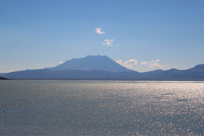 Salinas and Aguada Blanca Reserve Tour from Arequipa - The Small Volcano and Reserve Viewpoints