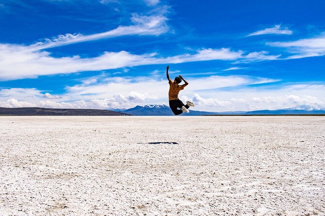 Salinas Lagoon + Mini Volcano DE Lojen - Wildlife on the salt plain