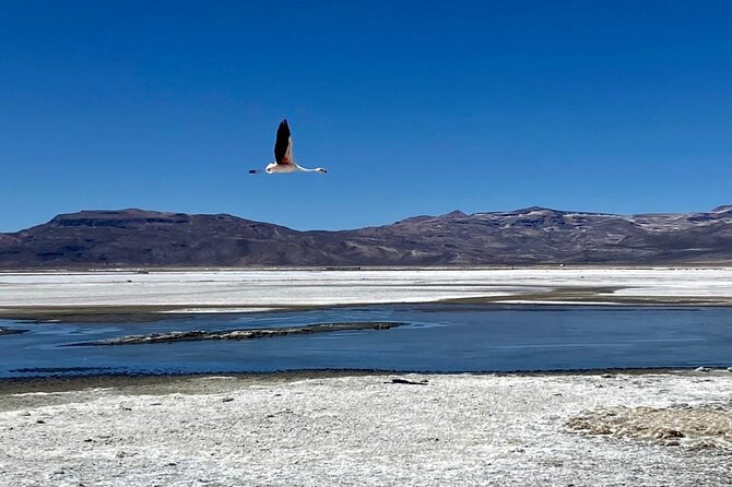 Salinas National Reserve PRIVATE TOUR - Is the Salinas Private Tour Worth Booking?