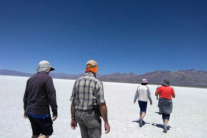 Salinas Salt Lagoon Private tour - Day Trip from Arequipa - Key points to know before booking
