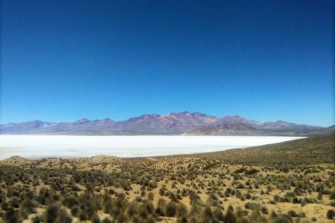 Salinas Salt Lagoon Private tour - Day Trip from Arequipa - Leaving Arequipa at 7:00 or 7:30 a.m.