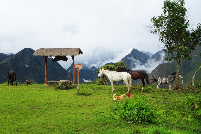 Salkantay Trek Premium 5D/4N - Day 5: Machu Picchu with a private guide