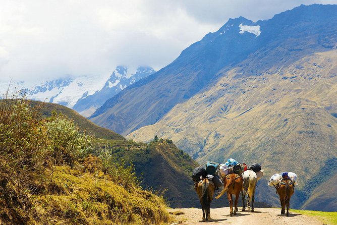 Salkantay Trek to Machu Picchu in 4 days - Key points to know before you book