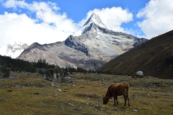 Santa Cruz 4 Days Trek - Fitness, altitude, and the pace problem