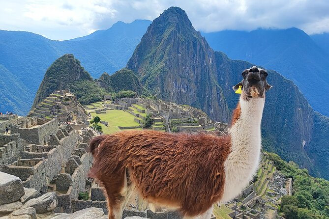 Shared 1 Day Machu Picchu Tour from Cusco - The return journey to Cusco