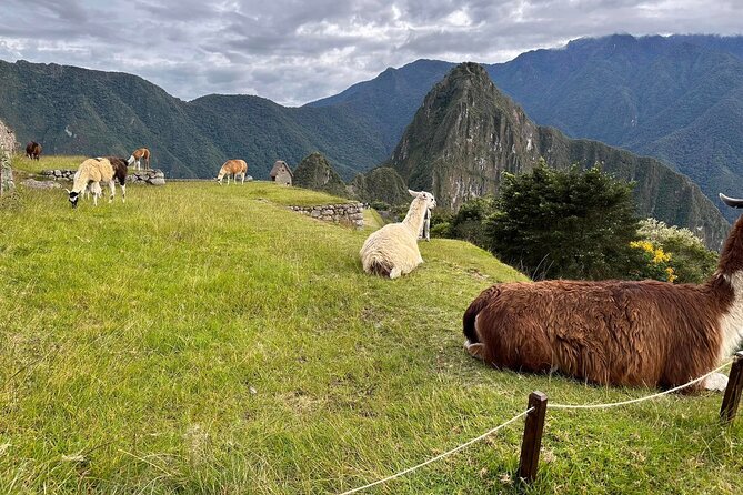 Short Inca Trail To Machu Picchu 2 Days and 1 Night - Aguas Calientes: One Night and a Needed Rest