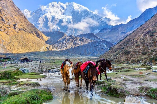 Small Group 5 Days Salkantay and Machu Picchu by Llactapata Tour - Fitness, altitude, and practical preparation
