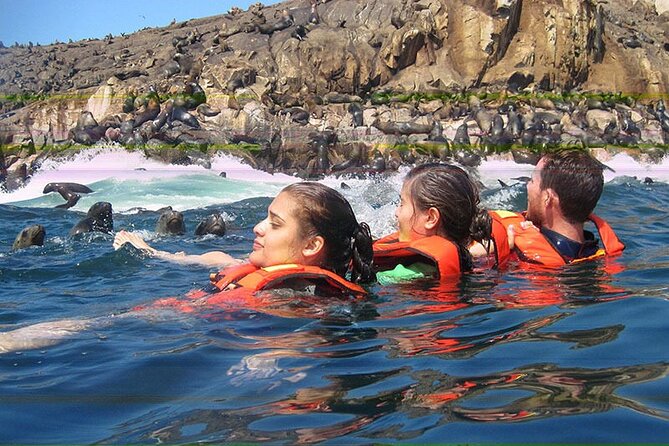 Swimming with Sea Lions in Islas Palomino Lima - Key points to know before you book