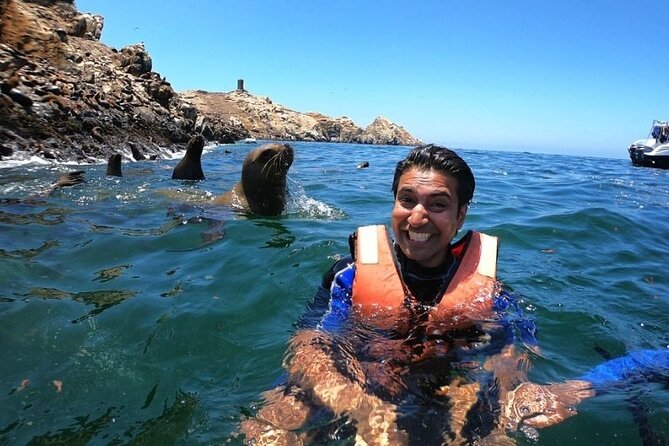 Swimming with Sea Lions in Islas Palomino Lima - Meeting in La Punta at 10:30 a.m.