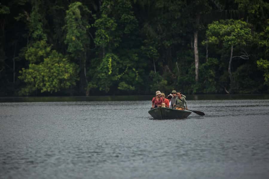 Tambopata Macaw Clay Lick 3 days/2 nights - What the $335 price really covers
