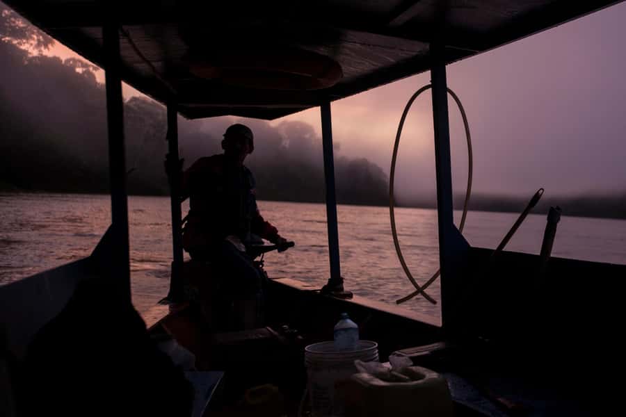 Tambopata Macaw Clay Lick 4 days/3 nights - Day 2: Macaws at dawn, monkeys by afternoon