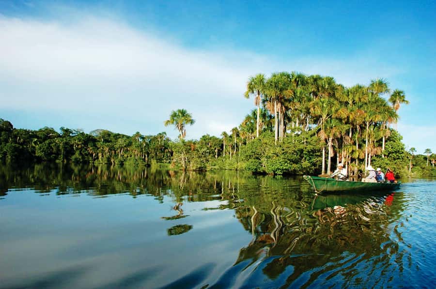 Tambopata National Reserve Tour 3 Days - Day three: Clay licks, family life, and river fishing
