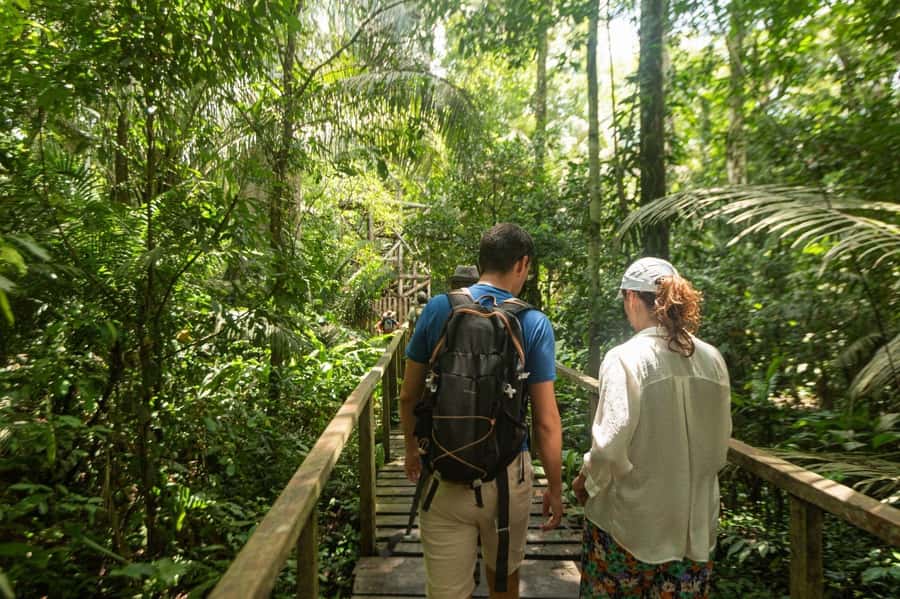 Tambopata National Reserve Tour 3 Days - The guide and group size make a difference