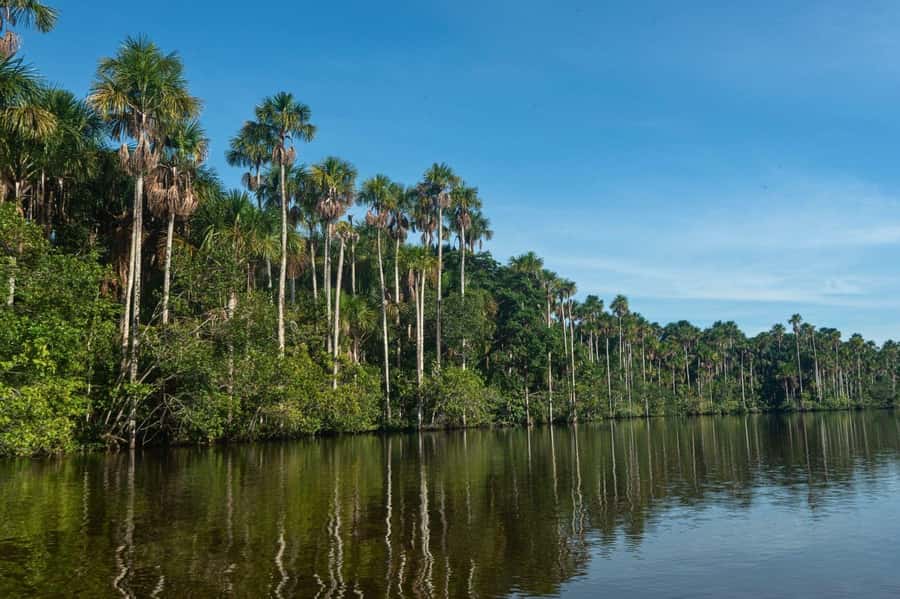 Tambopata National Reserve Tour 3 Days - Should you book it?