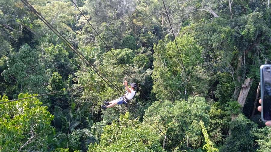 Tambopata Peruvian Amazon Jungle for Three Days/Two Nights - Night forest walk and after-dark sounds