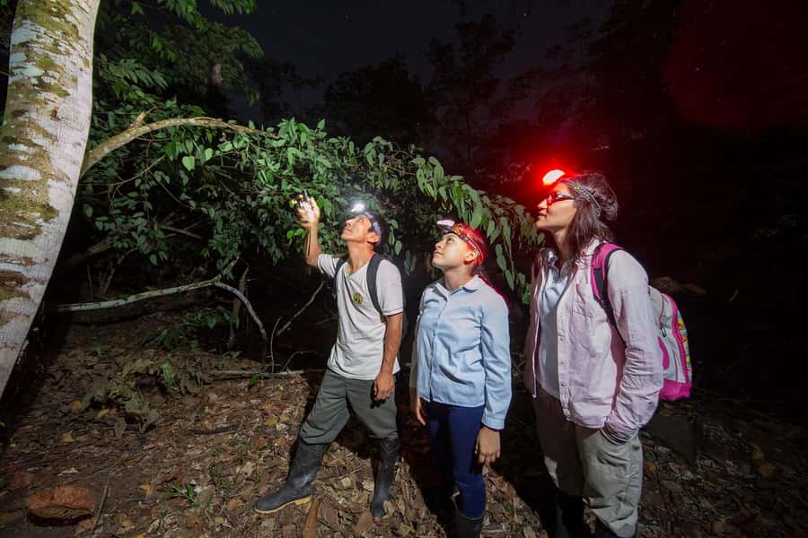 Tambopata Rainforest Night Walk & River Exploration - Key points at a glance
