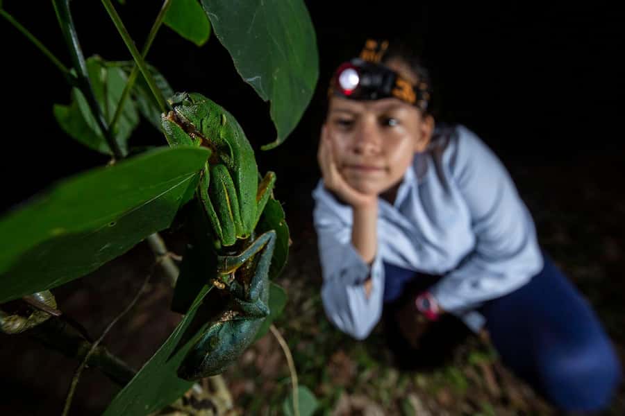 Tambopata Rainforest Night Walk & River Exploration - The 4:00 PM boat ride begins gently
