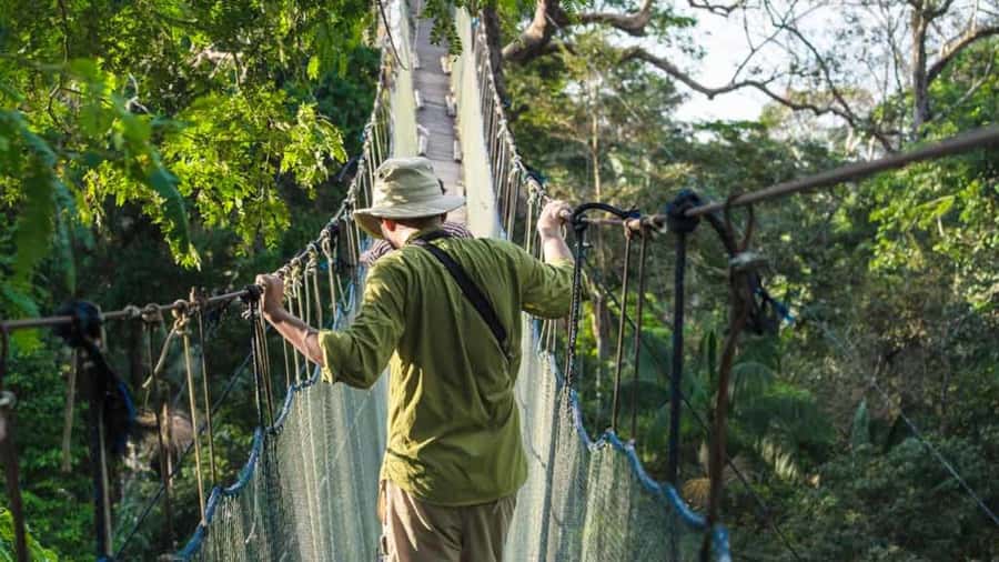 Tambopata: Zipline Adventure & Kayak to Monkey Island - Key points at a glance