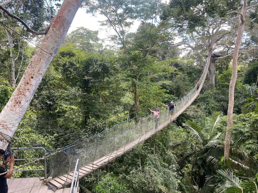 Tambopata: Zipline Adventure & Kayak to Monkey Island - Kayaking on the Madre de Dios