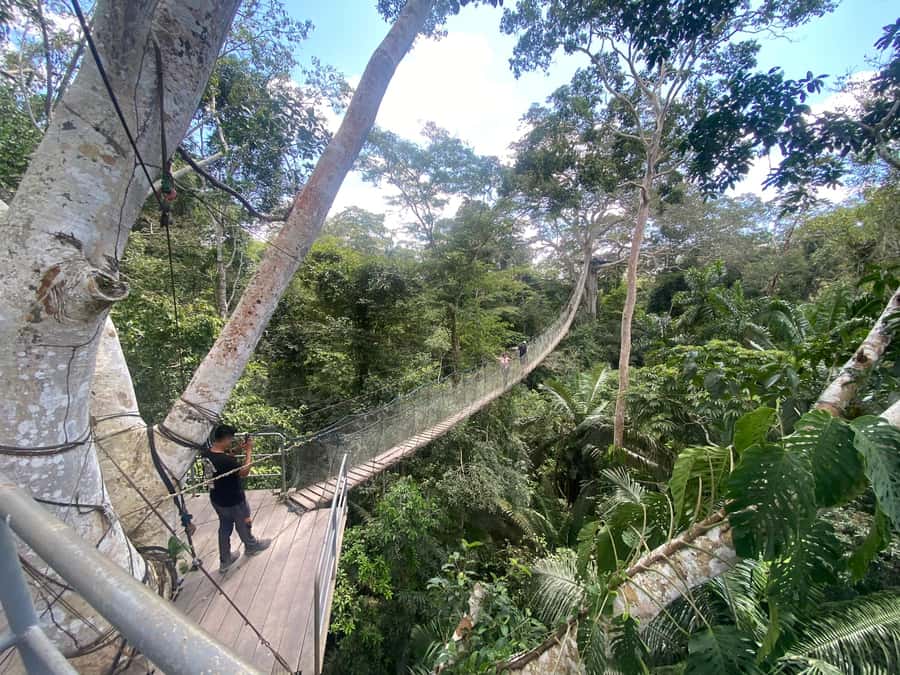 Tambopata: Zipline Adventure & Kayak to Monkey Island - What the $59 price really covers