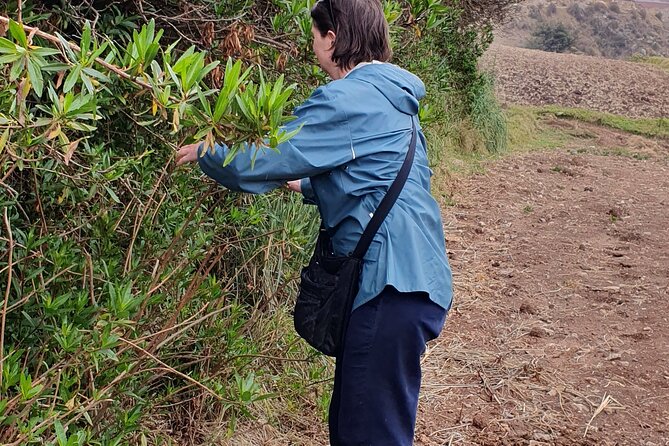 The Textile Workshop Experience in Cusco Region - The boutique: buy after you learn