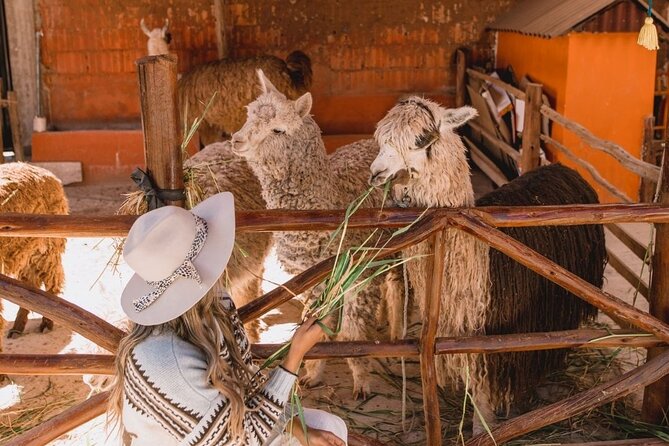 The Ultimate Full Day Sacred Valley Tour - Why this route works so well in one day