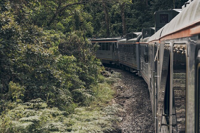 The Voyager Machu Picchu Train by Inca Rail - The Voyager carriage: useful, but not luxurious