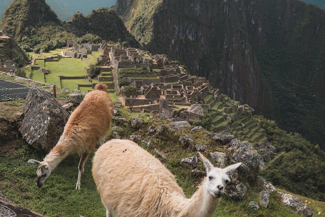 Tour de Día Completo a Machu Picchu - Key points to know before booking