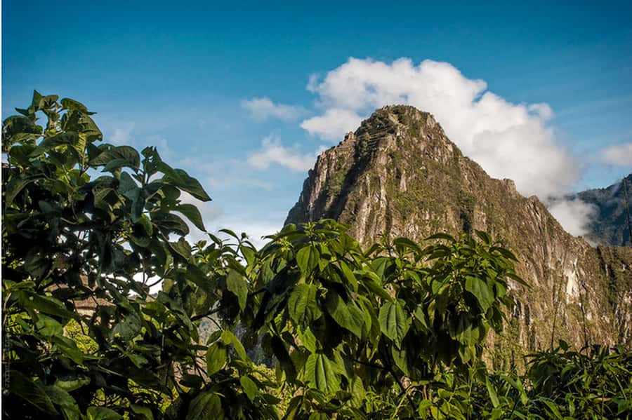Tour Machu Picchu + Mountain of Huayna Picchu 2 days - Who should choose this experience