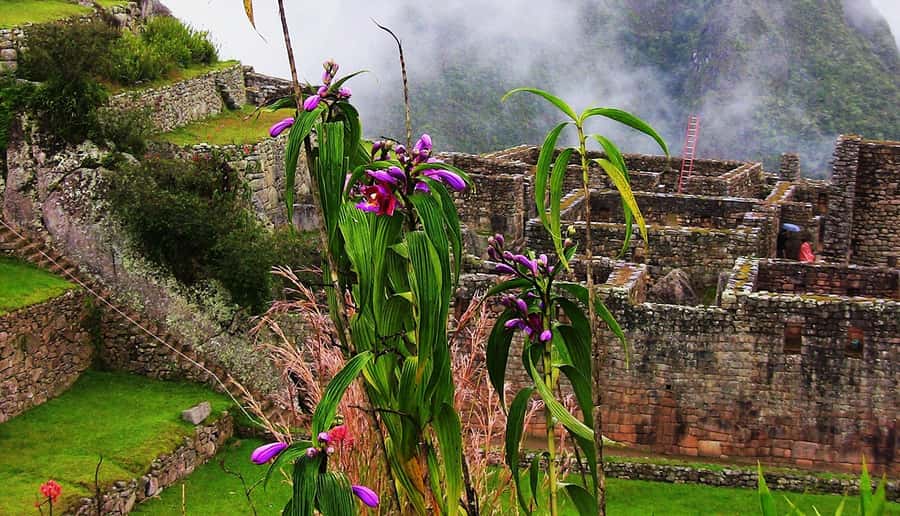Tour Machu Picchu + Mountain of Huayna Picchu 2 days - The morning transfer from Cusco to Ollantaytambo