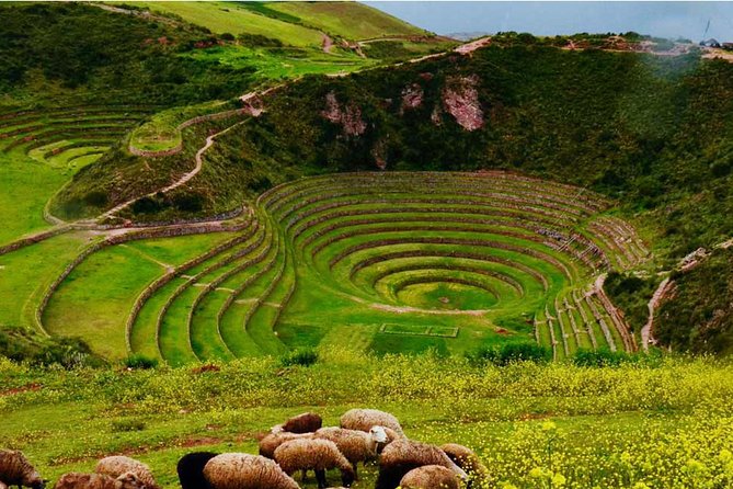 Tour Sacred Valley & Maras - Moray with buffet lunch - The price: excellent value, with extra entrance costs