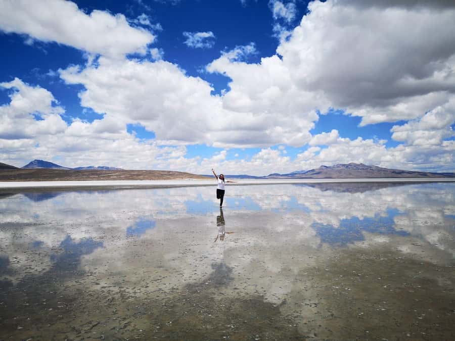 Tour to the Salinas Lagoon and National Reserve in Arequipa - Why Salinas Lagoon makes a fine Arequipa day trip