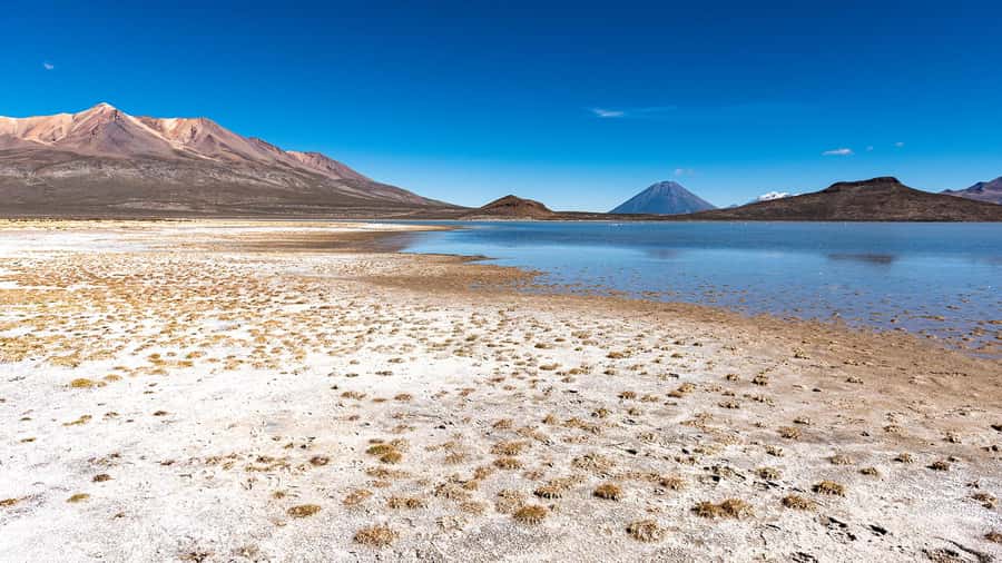 Tour to the Salinas Lagoon and National Reserve in Arequipa - Water mirrors at Salinas Lagoon