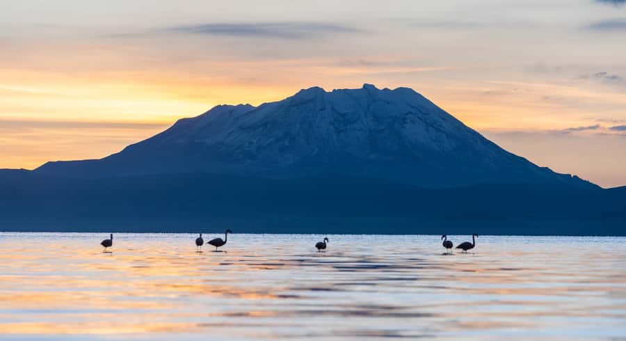 Tour to the Salinas Lagoon and National Reserve in Arequipa - The optional mini thermal wells
