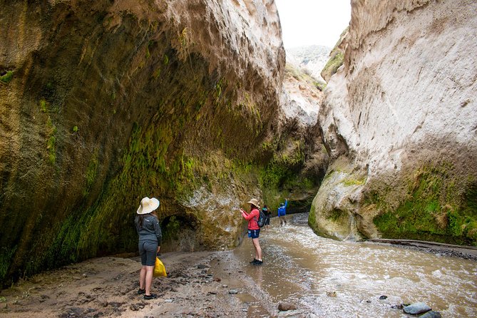 Trekking, Waterfalls and Thermal Baths - What the $62 price includes
