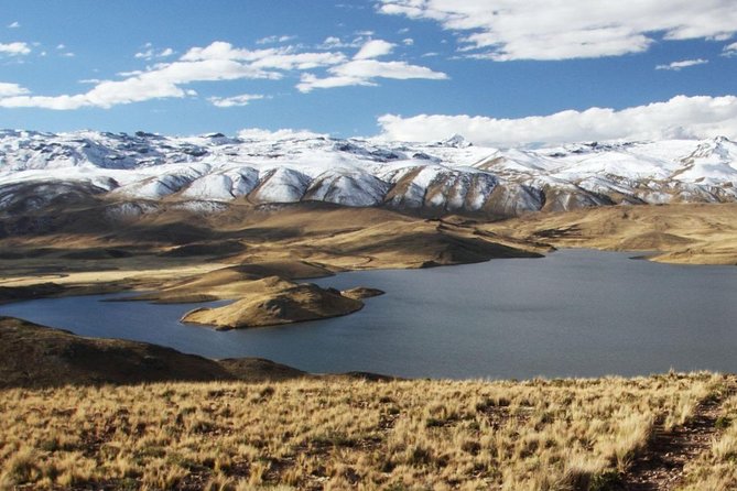 Turist Bus Colca Canyon (Chivay) To Puno - Tocrapampa and the camelids of the high plains