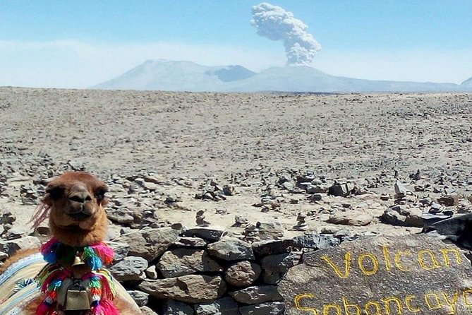 Turist Bus Colca Canyon (Chivay) To Puno - What the bus provides, and what to bring yourself
