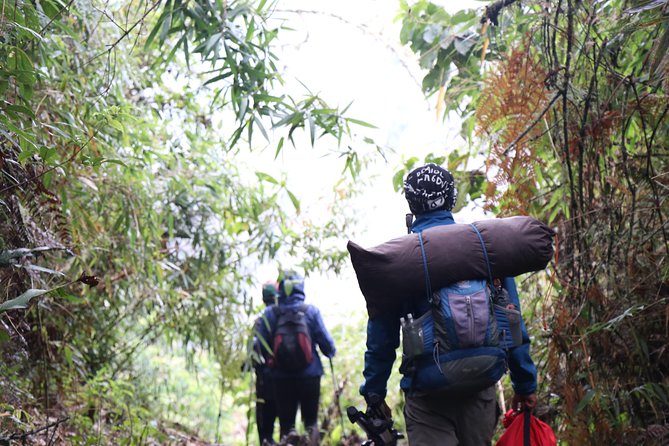 Ultimate Salkantay Trek to Machu Picchu 5 Days - Food, camps, and the support crew