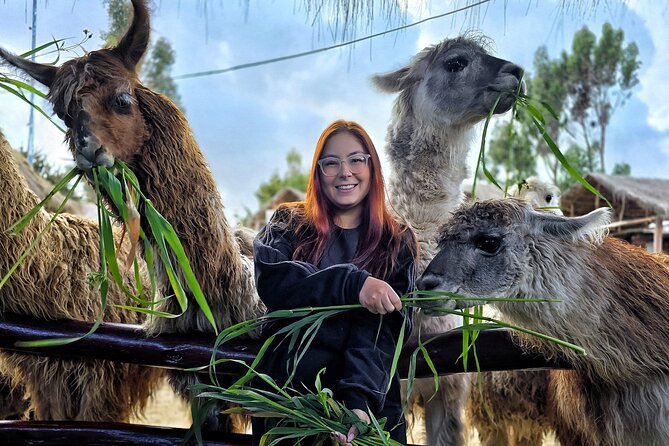 Viewpoints and Streets Tour of Cusco Photo Tour - Key points at a glance