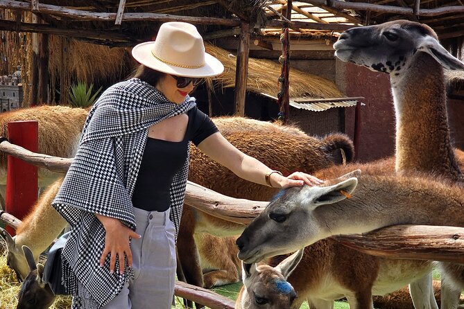 Viewpoints and Streets Tour of Cusco Photo Tour - What the private transport adds at $25