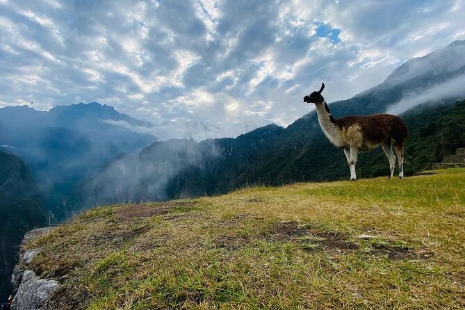 Visit Cusco & Machu Picchu in 5 Days / 4 Nights - All Inclusive - Booking details worth checking