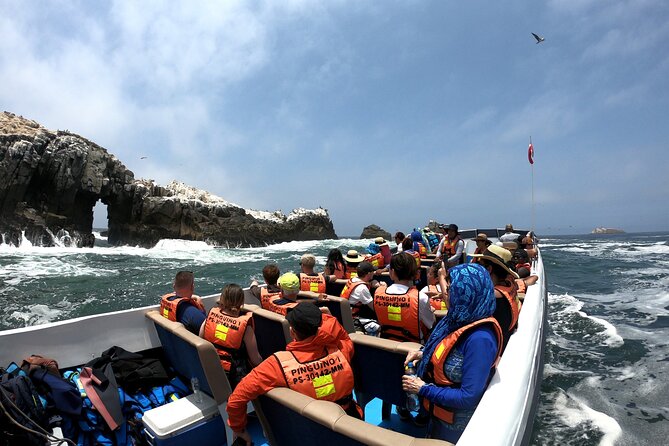 Visit the Sea Lions in Palomino Islands, in Lima Peru - Who should book this Palomino Islands experience?