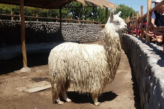 Walking Tour through the Historic Center of Arequipa - San Lázaro reveals a quieter old neighborhood