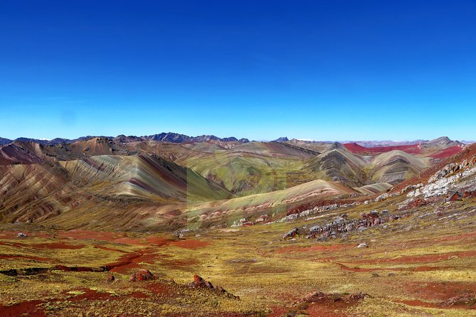 Walking with Alpacas in Palcoyo: The Alternative Rainbow Mountain - The 35-minute walk with alpacas