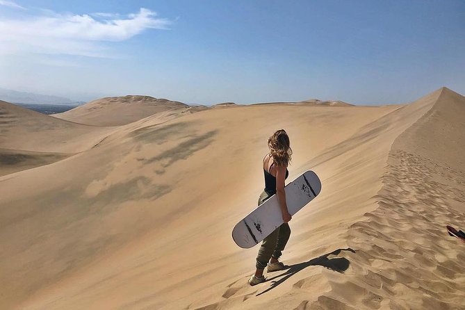 Wine, Pisco and Dune Buggy Experience - Guides, Communication, and Group Size