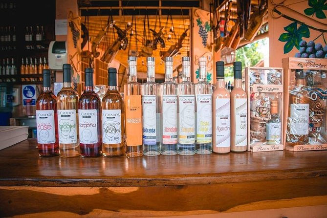 Wine, Pisco and Dune Buggy Experience - Hacienda Tacama: A Taste of Ica’s Wine Tradition