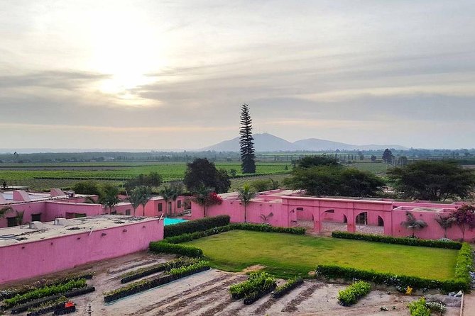 Winery and Pisco Distillery tour - Tacama: the grand first stop