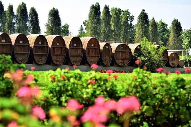 Winery and Pisco Distillery tour - What the $30.77 price really includes