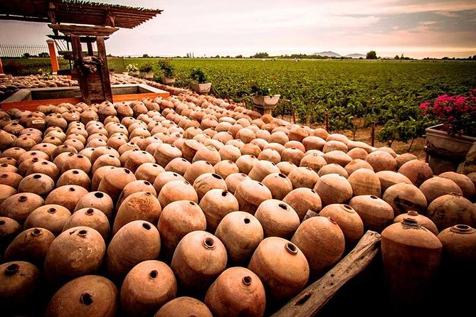 Winery and Pisco Distillery tour - The guide can shape the whole afternoon